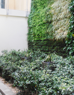 vertical gardens